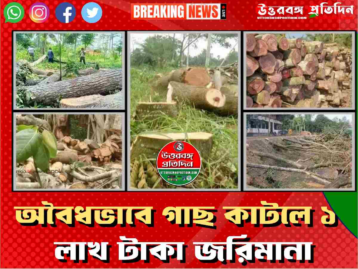 অবৈধভাবে গাছ কাটলে ১ লাখ টাকা জরিমানা